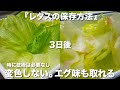 『レタスの保存方法』お悩み解決!変色しなくてエグ味もとれる♪