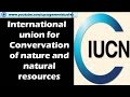 Iucn international union for conservation of nature and natural resources environment