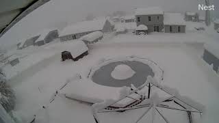 BUFFALO SNOWSTORM 2022 TIMELAPSE!