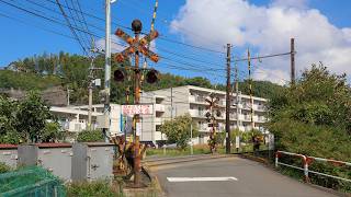 Japanese Crossing Compilation