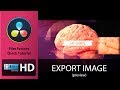 Film Factory quick tutorial: &quot;Davinci Resolve export still image&quot;