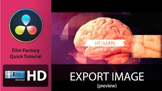 Film Factory Quick Tutorial Davinci Resolve Export Still Image