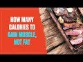 How Many Calories Should You Eat to Gain Muscle Without Getting Fat? (2017)