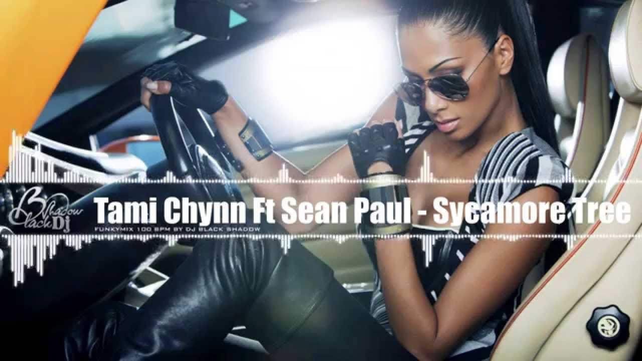 tami chynn ft sean paul sycamore tree