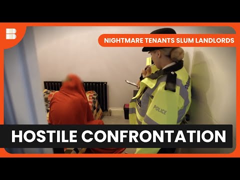 Housing Crisis Compilation (2025)