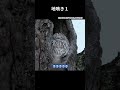 衝撃!!フクロウの鳴き声が意外過ぎた