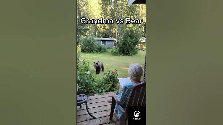 "Wisdom vs. Wilderness: How a Grandma Mastered a Bear Encounter 🌲👵" thumbnail