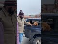 Golden retrievers in Frisco, Colorado 🐕