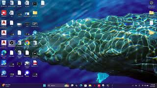 Famous Rope pearl and Rope live  Start up Tutorial Net Worth