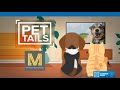 Pet Tails: Meet Adele