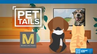 Pet Tails: Meet Adele