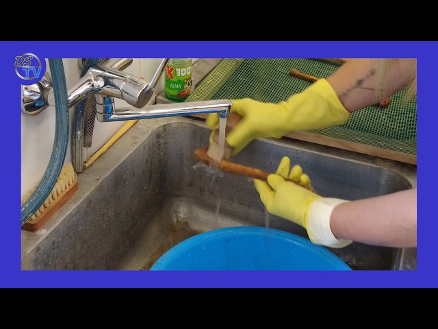 DSTV | MÚZEUMI KULISSZÁK