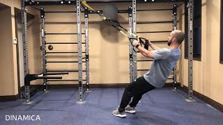 Row Isometric TRX