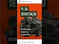 WWF associa manejo florestal à Devastação