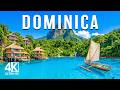 Dominica 🇩🇲 4K Drone Footage | Emerald Bays, Tropical Beaches &amp; Deep House Vibes