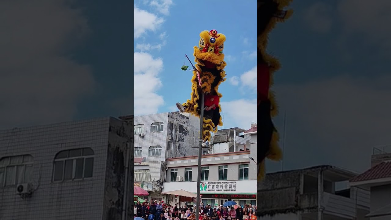 醒狮少年，少年强则国强，每一个动作都是用汗水换来的 #醒狮文化 #舞狮 #民俗文化 #台上一分钟台下十年功