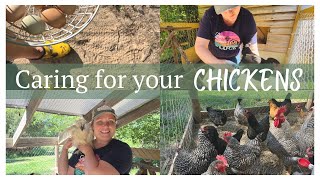 Top Tips For Keeping Your Chickens Happy And Healthy!