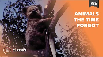 Animals That Time Forgot
