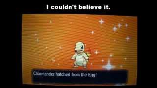 Shiny Charmander Hatches via Masuda Method Egg 737 (Charm?)