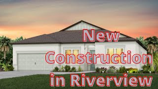Where is there New Construction in Riverview?