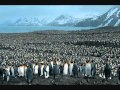 Jazz Butcher - Penguins
