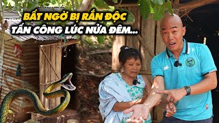 BỊ RẮN ĐỘC TẤN CÔNG LÚC NỬA ĐÊM SUÝT MẤT MẠNG