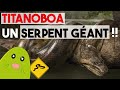 Titanoboa  le plus grand serpent ayant jamais exist