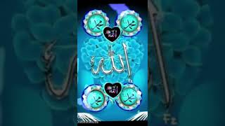 Allahu Ekber Hz Muhammed in (sav) doğum günü kutlu olsun.