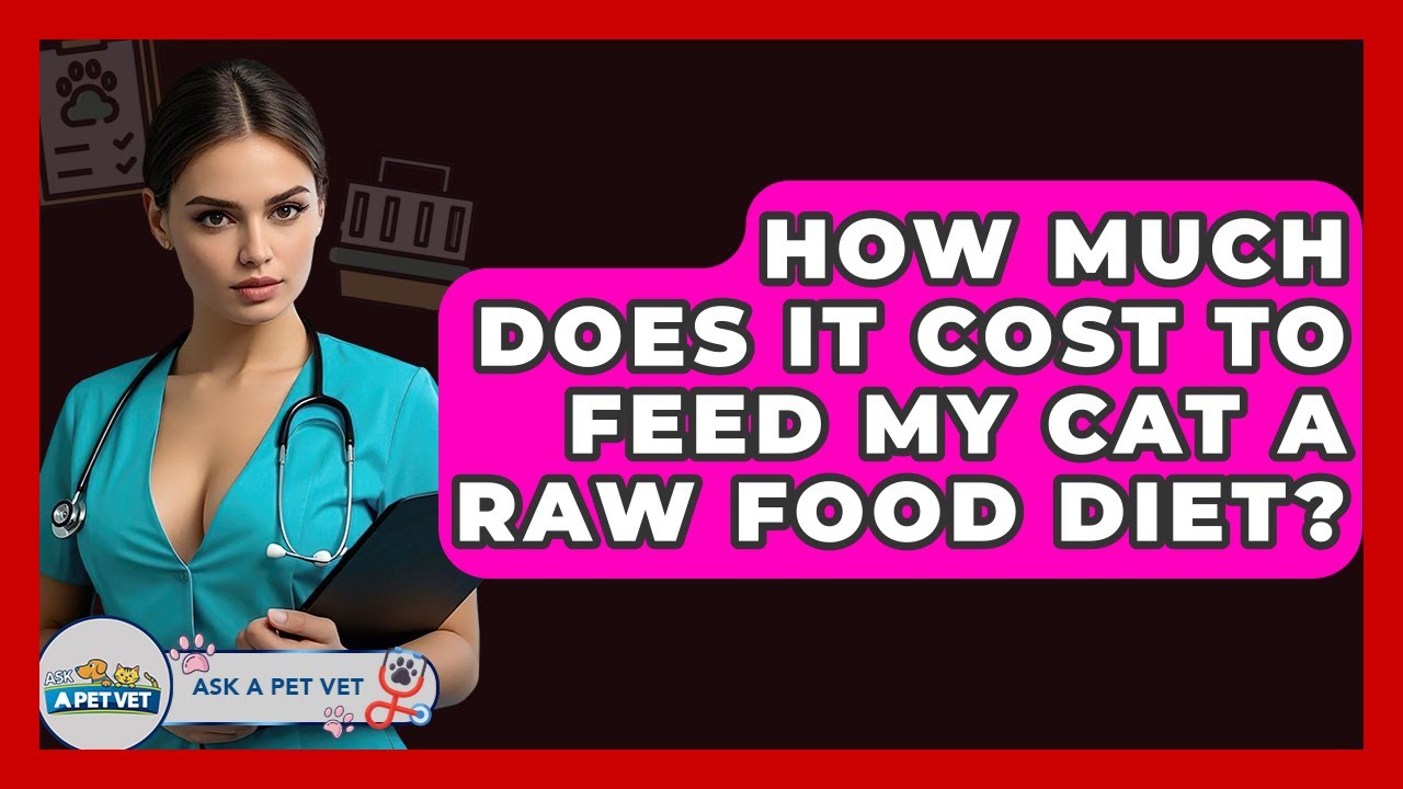 How Much Does It Cost To Feed My Cat A Raw Food Diet? - Ask A Pet Vet