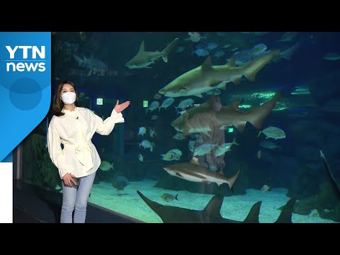 [날씨] 도심 속 바다 체험...내일 밤사이 봄비·황사 해소 / YTN