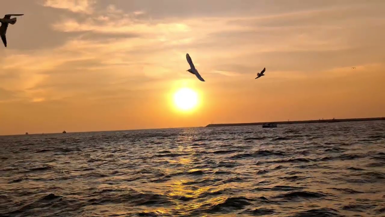 Can't find more better than this SUNSET