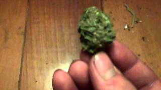 Some bud. (Half a gram)