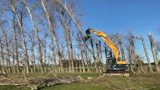 OMEF BI500 Tree Shear in action #treecutting #hedgetrimming
