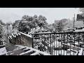 雪の東京・武蔵小金井 - Snowy Tokyo Suburbs: Musashi-Koganei Residential Walk【4K Japan Walk】