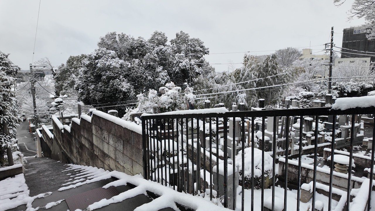 雪の東京・武蔵小金井 - Snowy Tokyo Suburbs: Musashi-Koganei Residential Walk【4K Japan Walk】