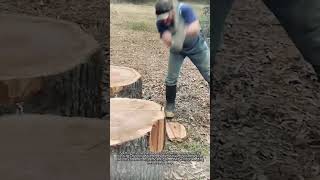 How to Split Massive Logs Without Getting Stuck #worker #process #woodworking #outdoors #tools