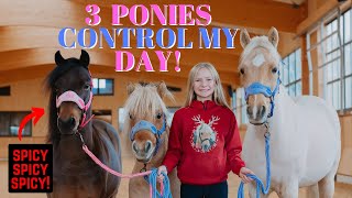 Download Lagu 3 PONIES CONTROL MY DAY!!! *ROLO IS EXTRA SPICY!* MP3 Download Lagu 3 PONIES CONTROL MY DAY!!! *ROLO IS EXTRA SPICY!* MP3