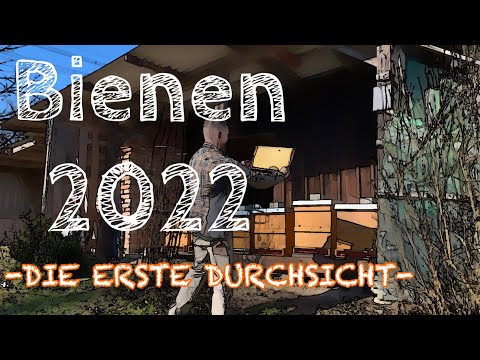 Bienen 2022 ! Die erste Durchsicht !