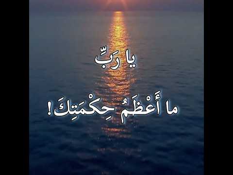 تسبيح النبي داوود عليه السلام من كتاب المزامير أي الزبور 104