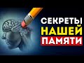 3 загадки человеческой памяти Это невероятно