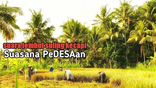 suling sunda No Copyright ll instrument music of flutes and lutes soft and calm screenshot 4