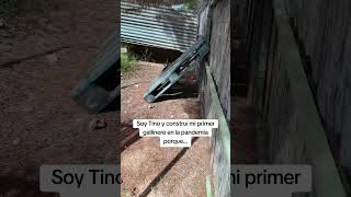 Soy Tino y construí mi primer gallinero en la pandemia porque algo no cuadraba #ancestral #campo
