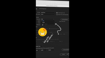 How to fix RGB + Alpha problem in After effects 2022
