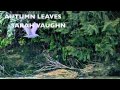 AUTUMN LEAVES   - SARAH VAUGHN