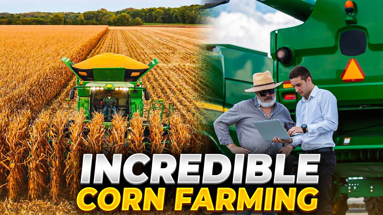 The Incredible Logistics Behind Corn Farming