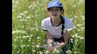 다희 (dahee) - 봄이라서 Lyric Video - dahee