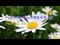 Peaceful Day (평화로운 날) / Peder B.  Helland &amp; 편집 체칠리아