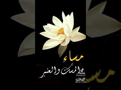 الدنيا فايتة