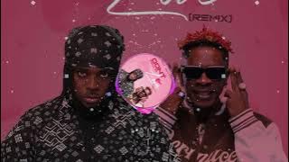 TAKUM ft Shatta Wale - Don’t Fall In Love Remix (Audio Slide)