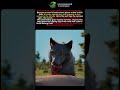 Why Wolves Have Secret "Aerial Spies" 🦅🐺